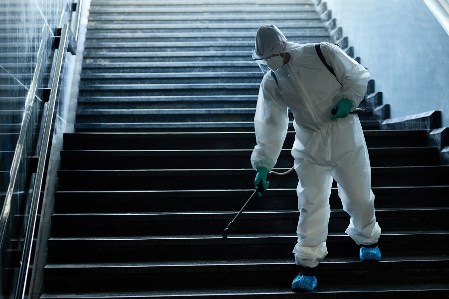 The Companies Leading the Way in Cockroach Control in Los Angeles